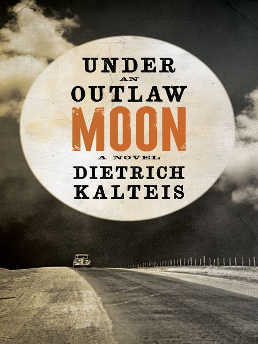 Under an outlaw moon a novel